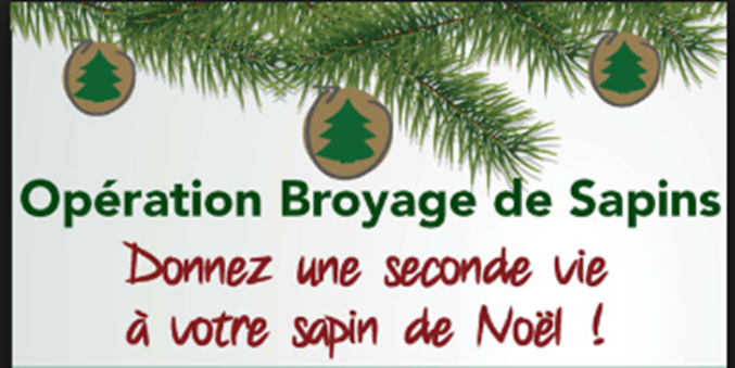 https://www.lameziere.com/uploads/2019/01/Broyage-sapins.png