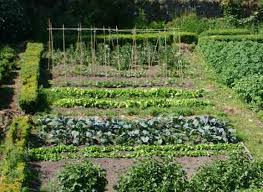 Portes ouvertes : jardins familiaux