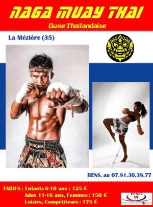 Stage de Muay Thai