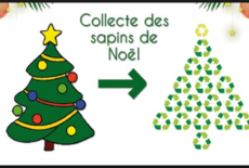 Broyage des sapins de Noël