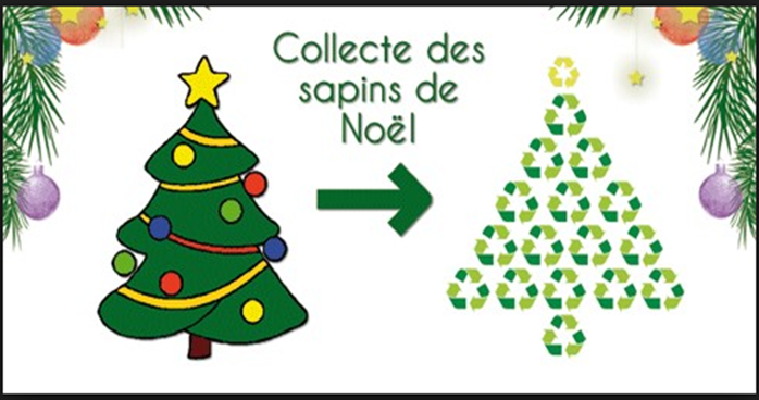 Broyage des sapins de Noël