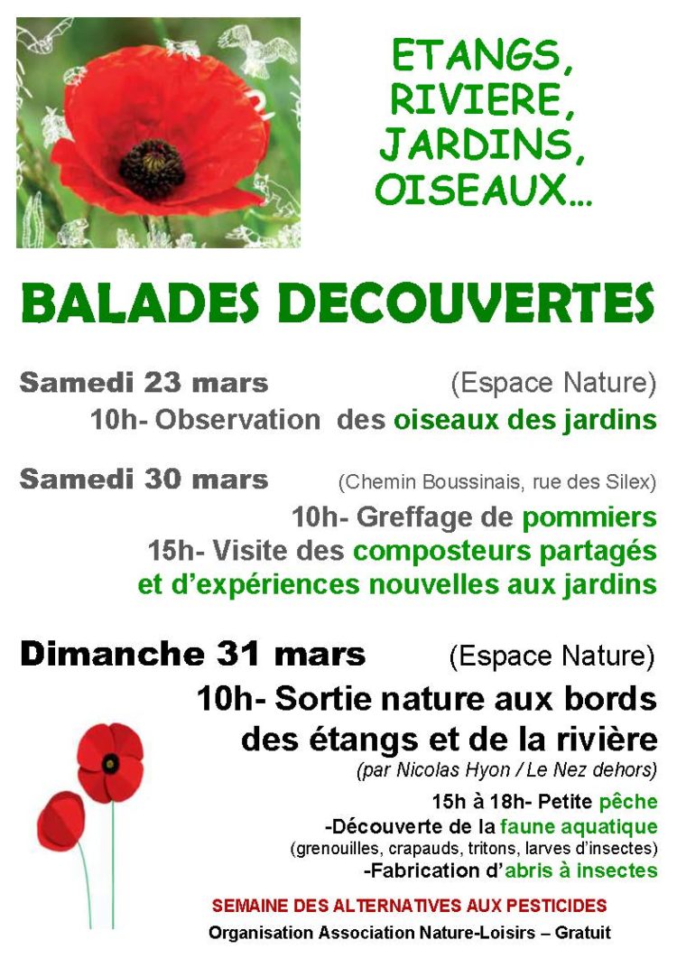 Balades découvertes – Association Nature-Loisirs