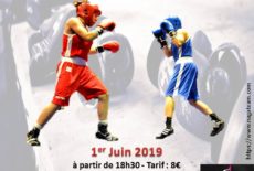 Gala de boxe