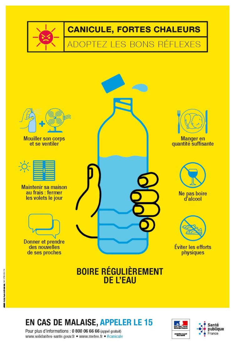 RECENSEMENT PLAN CANICULE 2019