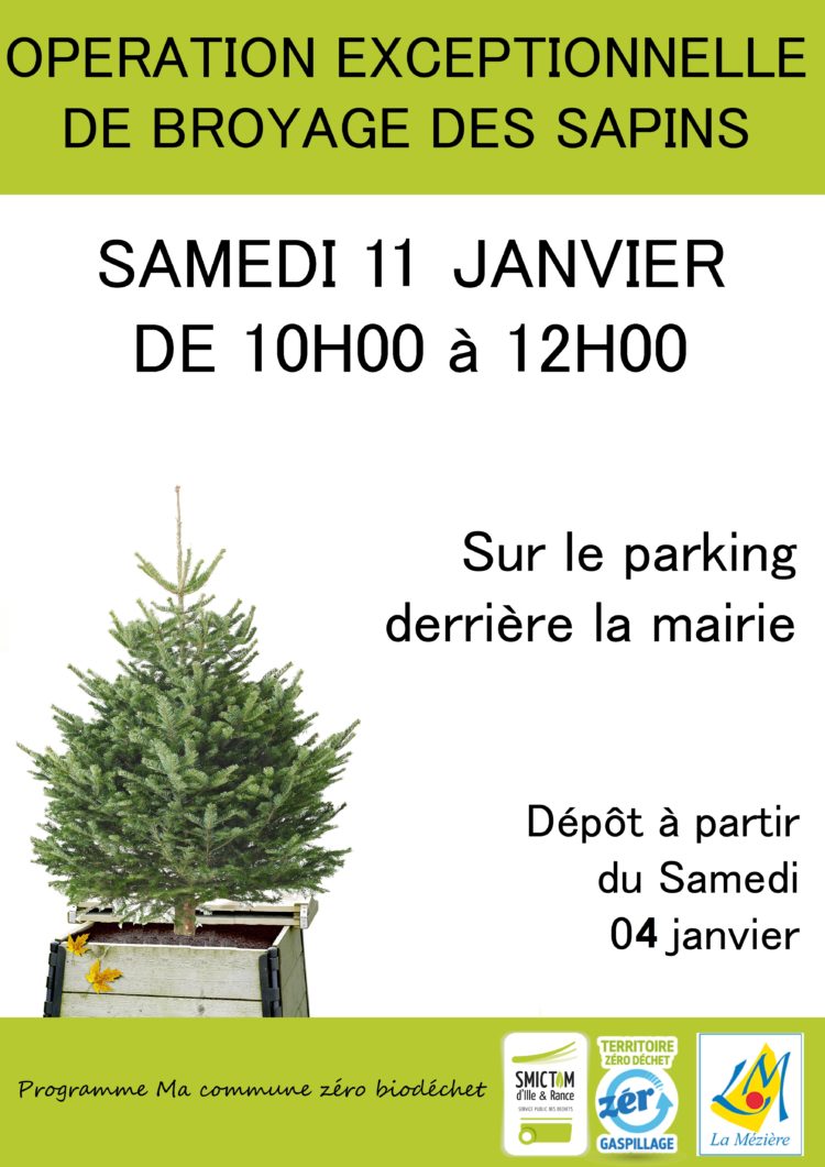 Broyage des sapins