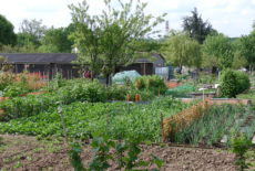 Accès aux jardins familiaux durant le confinement