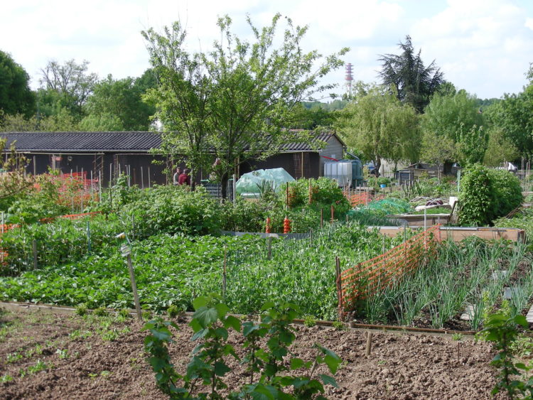 Accès aux jardins familiaux durant le confinement