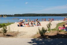 En juillet, une navette gratuite pour rejoindre le Domaine de Boulet à Feins