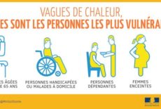RECENSEMENT PLAN CANICULE 2020