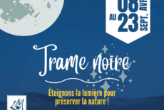 Retour de la Trame Noire du 8 avril au 23 septembre 2022