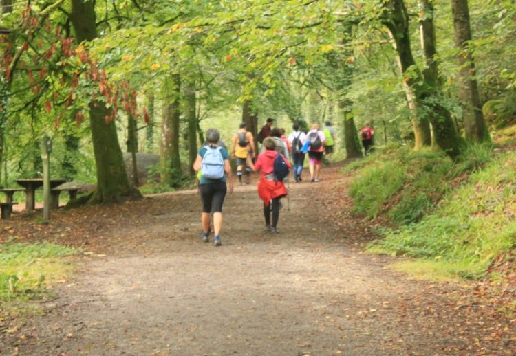 Randonnée pédestre en Suisse normande