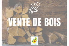 Vente de bois