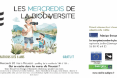 Découverte des mares à MOUAZÉ