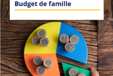 Enquête Budget de Famille (INSEE)