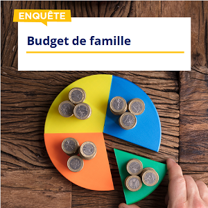 Enquête Budget de Famille (INSEE)