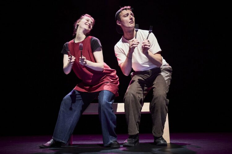 LES PENSEES / Nicolas Doutey / Sylvain Maurice / Cie Titre provisoire / Théâtre / A voir en famille à partir de 8 ans, 50 minutes